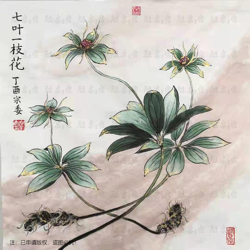 七葉一枝花