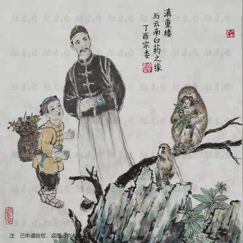 “滇重樓與云南白藥”